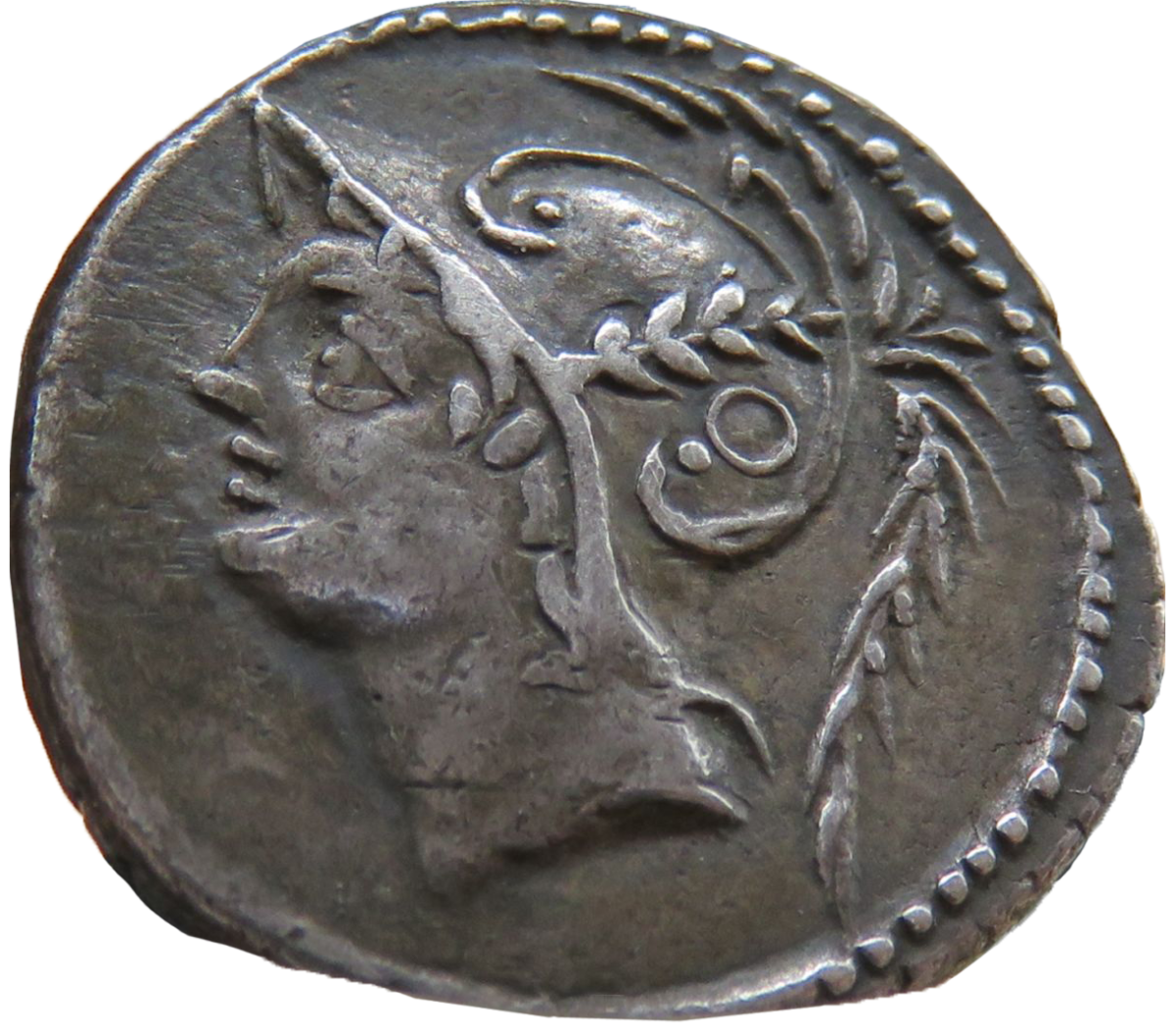Denário de Prata da Republica Romana de Minucius Q.M. F. Thermus – Gens Minucia